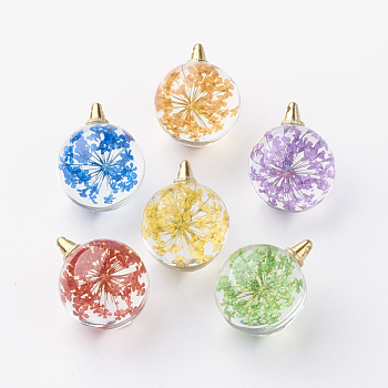 Round Alloy Glass Pendants, Cadmium Free & Lead Free, with Dried Flower Inside, Light Gold, 20~21x15mm, Hole: 1.5mm