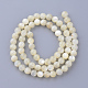 Natural Sea Shell Beads Strands(X-SSHEL-S252-03)-2