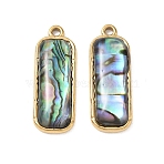 Natural Paua Shell Pendants, Rectangle Charm, with 304 Stainless Steel Findings, Ion Plating(IP), Long-Lasting Plated, 28.5x10.5x4.5mm, Hole: 1.8mm(SA-CBA11D7-11B-G)