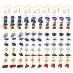 DIY Chakra Gemstone Earring Making Kits, Include Natural Mixed Stone Chips Big Pendants & Charms, Iron Earring Hooks, 60Pcs/box(DIY-TA0009-02)