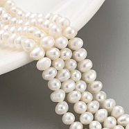 Natural Cultured Freshwater Pearl Beads Strands, Potato, Beige, 4~4.5mm, Hole: 0.5mm, about 38pcs/strand, 6.89~7.09 (17.5~18cm)(PEAR-C003-10D)