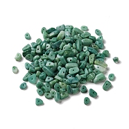 Acrylic Beads, Imitation Gemstone, Chip, Sea Green, 4~13x4~6x4~5mm, Hole: 1.2mm(OACR-C020-01E)