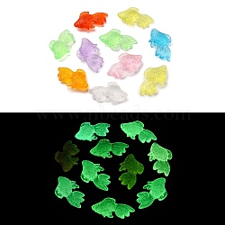 Luminous Transparent Acrylic Pendants, Glow in the Dark, Fish, Mixed Color, 36x22x9mm, Hole: 2mm(TACR-P010-04)