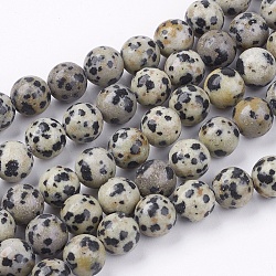 Natural Dalmatian Jasper Stone Bead Strands, Round, 8mm, Hole: 1mm, about 45~48pcs/strand, 14.9 inch(G-R193-14-8mm)