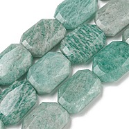 Natural Amazonite Beads Strands, Hexagon, Faceted, 12x17x5mm, Hole: 1mm, about 24pcs/strand, 15.55''(39.5cm)(G-P544-B09-01)