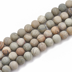 Natural Silver Leaf Jasper Beads Strands, Frosted, Round, 6mm, Hole: 1mm, about 63pcs/strand, 15.5 inch(G-T106-234)