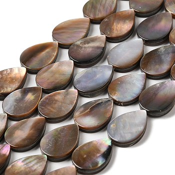 Natural Sea Shell Beads Strands, Teardrop, 14x10x2~2.5mm, Hole: 0.8mm, about 28pcs/strand, 15.59''(39.6cm)