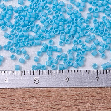 MIYUKI Delica Beads Small(X-SEED-J020-DBS0879)-3