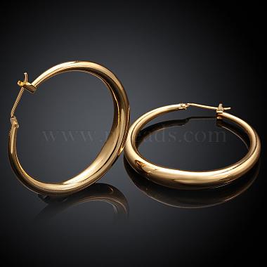 Adorable Design Ring Brass Hoop Earrings(EJEW-BB07351-G)-2