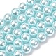 hebras de perlas de concha electrochapadas(BSHE-G041-8mm-03)-1
