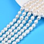 Natural Cultured Freshwater Pearl Beads Strands, Rice, Seashell Color, 8~12.5x7.5~9.5mm, Hole: 0.8mm, about 30~36pcs/strand, 13.94 inch~14.37 inch(35.4cm~36.5cm)