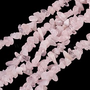 Gemstone Beads Strands, Natural Rose Quartz, Pink, Chips, about 3~5mm wide, 3~5mm long, hole: 1mm, 34 inch long(QUAR-3X5)