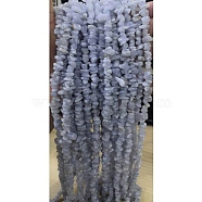 Natural Blue Lace Agate Chips Beads Strands, 5~8x5~8mm, Hole: 1mm, about 31.5 inch(G-M205-50-01)