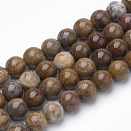 Natural Petrified Wood Beads Strands, Round, 8~8.5mm, Hole: 1mm, about 47pcs/strand, 15.5 inch(G-Q462-136-8mm)