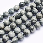 Natural Hawk's Eye Beads Strands, Eagle Eye Stone, Round, 6mm, Hole: 0.8mm, about 63pcs/strand, 15.5 inch(39.5cm)(G-O166-09-6mm)