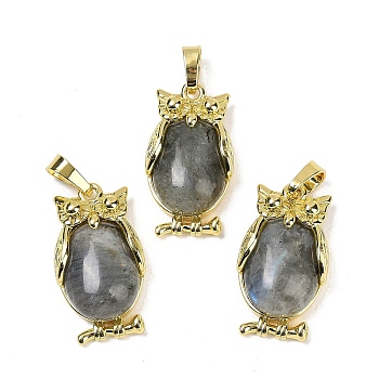 Natural Labradorite Pendant, with Brass Findings,  Lead Free & Cadmium Free, Long-Lasting Plated, Owl, 28.5x15.5x7mm, Hole: 5x8mm