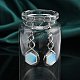 Hexagon Opalite Dangle Earrings(EJEW-K298-01P-06)-3