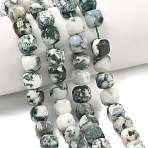 Natural Tree Agate Beads Strands, Faceted Table Cut Cube, 8.5~9.8x8.5~9.8x8.5~9.8mm, Hole: 0.8~1.2mm, about 45~46pcs/strand, 14.96~15.47 inch(38~39.3cm)(G-C267-A18)