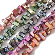 Natural Freshwater Shell Beads Strands, Dyed, AB Color, Nugget, Mixed Color, 7~17.5x5~5.5x6~8.5mm, Hole: 1.2mm, about 72~73pcs/strand, 15.35''(39cm)(BSHE-H018-07)