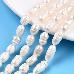 Natural Cultured Freshwater Pearl Beads Strands, Baroque Keshi Pearl Rice Beads, Seashell Color, 8~15x5.7~7mm, Hole: 0.7~0.8mm, about 28~38pcs/strand, 12.99 inch(33cm)(PEAR-N012-06R)