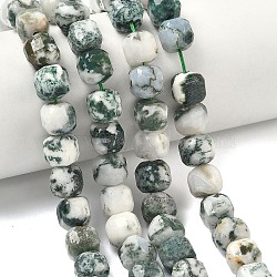 Natural Tree Agate Beads Strands, Faceted Table Cut Cube, 8.5~9.8x8.5~9.8x8.5~9.8mm, Hole: 0.8~1.2mm, about 45~46pcs/strand, 14.96~15.47 inch(38~39.3cm)(G-C267-A18)