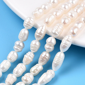 Natural Cultured Freshwater Pearl Beads Strands, Baroque Keshi Pearl Rice Beads, Seashell Color, 8~15x5.7~7mm, Hole: 0.7~0.8mm, about 28~38pcs/strand, 12.99 inch(33cm)