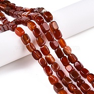 Natural Red Agate(Dyed & Heated) Beads Strands, Cuboid, 7.5~13x6.5~12.5x6~11.5mm, Hole: 1.2mm, about 33pcs/strand, 13.98~15.6''(35.5~39cm)(G-T138-104)