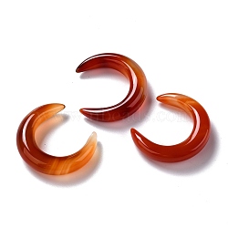 Natural Carnelian Beads, No Hole, for Wire Wrapped Pendant Making, Double Horn/Crescent Moon, Dyed & Heated, Grade AB, 31x28x6.5mm(G-J366-07A)