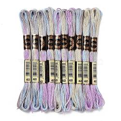 10 Skeins 6-Ply Polyester Embroidery Floss, Cross Stitch Threads, Segment Dyed, Lilac, 0.5mm, about 8.75 Yards(8m)/skein(OCOR-K006-A01)