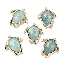 Natural Amazonite Pendants, with Brass Finding and Cubic Zirconia, Tortoise  Charms, Faceted, 24.5x21.5x6.5mm, Hole: 3.5x2mm(G-U019-02G-04)