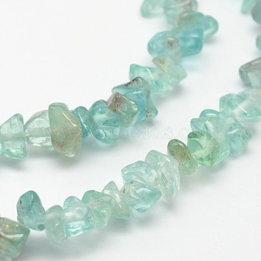 Chips Natural Apatite Beads Strands(G-N0164-44)-2