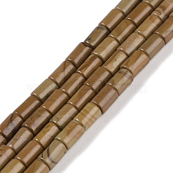 Natural Wood Lace Stone Beads Strands, Column, 7.5~8.5x5~6mm, Hole: 1mm, about 45~46pcs/strand, 14.69~15.04 inch(37.3~38.2cm)(G-C128-A26-01)