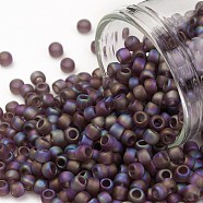 TOHO Round Seed Beads, Japanese Seed Beads, (166BF) Transparent AB Frost Medium Amethyst, 8/0, 3mm, Hole: 1mm, about 222pcs/bottle, 10g/bottle(SEED-JPTR08-0166BF)