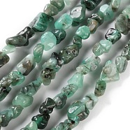 Natural Emerald Beads Strands, Nuggets, Tumbled Stone, 4.5~11.5x3~7x3.5~6mm, Hole: 1.2mm, about 48~68pcs/strand, 15.35~15.94''(39~40.5cm)(G-P497-01C-49)