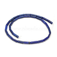 Natural Lapis Lazuli Column Bead Strands, Dyed, 13~14x4~5mm, Hole: 1mm, about 28pcs/strand, 15.7 inch(X-G-F247-13)