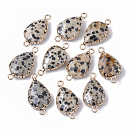 Natural Dalmatian Jasper Links connectors, with Golden Tone Brass Cabochon Connector Settings, Prong Settings, Faceted, Teardrop, 27x14x6mm, Hole: 2mm(G-S359-035A)