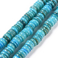 Shell Beads Strands, Dyed, Disc, Deep Sky Blue, 4.9~6x0.4~6mm, Hole: 1.4mm,  about 15.94 inch~16.14 inch(40.5~41cm)(SSHEL-E571-49J)