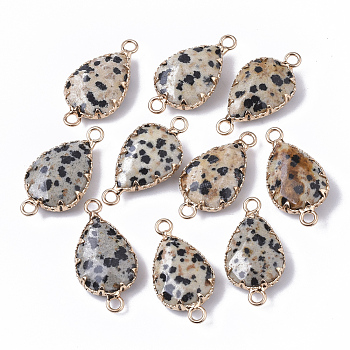 Natural Dalmatian Jasper Links connectors, with Golden Tone Brass Cabochon Connector Settings, Prong Settings, Faceted, Teardrop, 27x14x6mm, Hole: 2mm