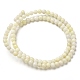 Natural Jade Beads Strands(G-H298-A04-01)-3