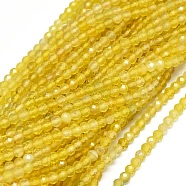 Natural Yellow Agate Beads Strands, Faceted, Round, 2.5~3mm, Hole: 0.6mm, about 142pcs/strand, 15.3 inch(39cm)(G-O180-05C)