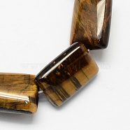 Rectangle Shaped Gemstone Natural Tiger Eye Beads Strands, Dark Goldenrod, 18x13x6mm, Hole: 1mm, about 22pcs/strand, 15.7 inch(X-G-S112-16)