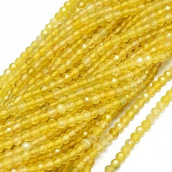 Natural Yellow Agate Beads Strands, Faceted, Round, 2.5~3mm, Hole: 0.6mm, about 142pcs/strand, 15.3 inch(39cm)(G-O180-05C)