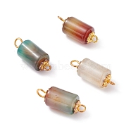Natural Peacock Agate Connector Charms, Column Links with Alloy Daisy Spacer Beads, Golden, 20~21x8mm, Hole: 1.8~2.6mm(PALLOY-YW0001-54)