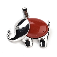 Natural Red Jasper Pendants, Elephant Charms with Alloy Findings, Platinum, 29x37~37.5x9.5~10mm, Hole: 3x9mm(G-G112-01P-07)