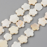 Natural Freshwater Shell Beads Strands, Flower, Seashell Color, 15~17x15~17x2~4mm, Hole: 0.8mm, about 24pcs/Strand, 14.56 inch(37cm)(X-SHEL-S276-84)