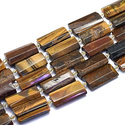 Natural Tiger Eye Strands, Rectangle, Faceted, 27~29x13~14x6~7mm, Hole: 1.5mm, about 12pcs/Strand, 14.96 inch(38cm)(G-E530-16K)