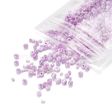 Glass Seed Beads(X-SEED-S059-009)-3