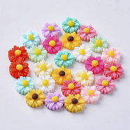 Resin Cabochons, Flower, Mixed Color, 11x4.5mm(CRES-S306-014B)