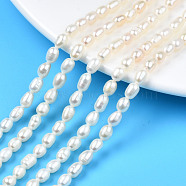 Natural Cultured Freshwater Pearl Beads Strands, Rice, Seashell Color, 5.5~9x4~5.5mm, Hole: 0.6mm, about 56~57pcs/strand, 13.94 inch~14.17 inch(35.4cm~36cm)(PEAR-N012-04B)