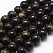Natural Golden Sheen Obsidian Beads Strands, Round, Coffee, 8mm, Hole: 1mm, about 49pcs/strand, 15.7 inch(G-D838-8mm-05)